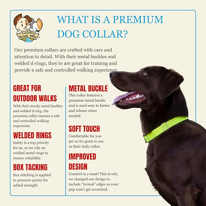 Country Brook Petz - Premium Nylon Dog Collar with Metal Buckle for Small Medium Large Breeds - 10+ Warm Colors (Medium, 3/4 Inch, Hot Yellow)