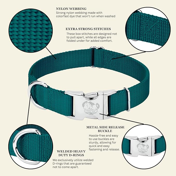 Country Brook Petz - Premium Nylon Dog Collar with Metal Buckle for Small Medium Large Breeds - 10+ Cool Colors (Extra Large, 1 Inch, Teal)