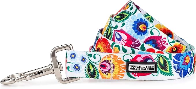 Lucky Love Dog Leash – Soft, Durable, and Comfortable Leash with Vibrant Patterns – Stylish and Long Lasting for Large Male and Female Dogs – Ladybird, Large