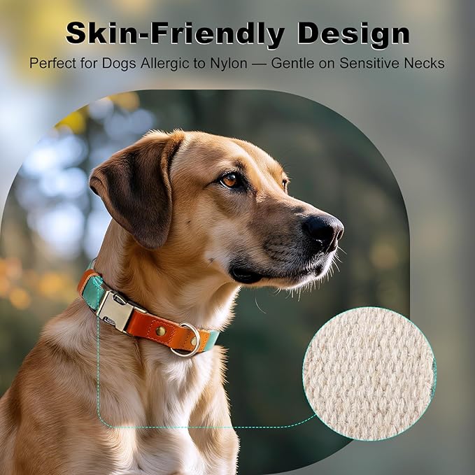 Plutus Pet Genuine Leather & Hemp Dog Collar – Adjustable Heavy Duty Pet Collar with Quick Release Metal Buckle, Soft & Stylish for Puppy and Small, Medium, Large Dogs (Green, XS)