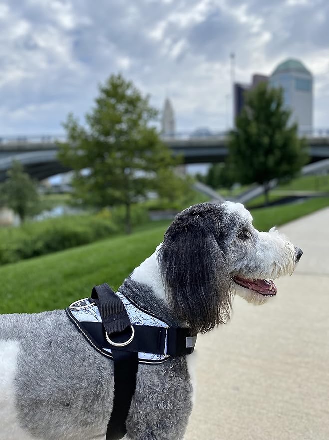 ShawnCo Essential Dog Harness, No-Pull Pet Vest with 3 Leash Clips, No Choke, Reflective, Adjustable and Padded, for Easy Walking and Training for Small, Medium and Large Dogs (White Marble, S)