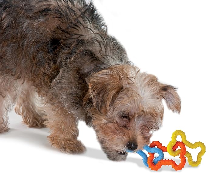 Petstages Mini Bone Tug Puppy Chew Toy