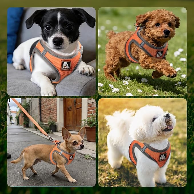 Dog Harness Medium Sized Dogs, Puppy Harness and Leash Set for Training, Running, Walking, Suitable for Small and Medium Dog Vest, Orange, M