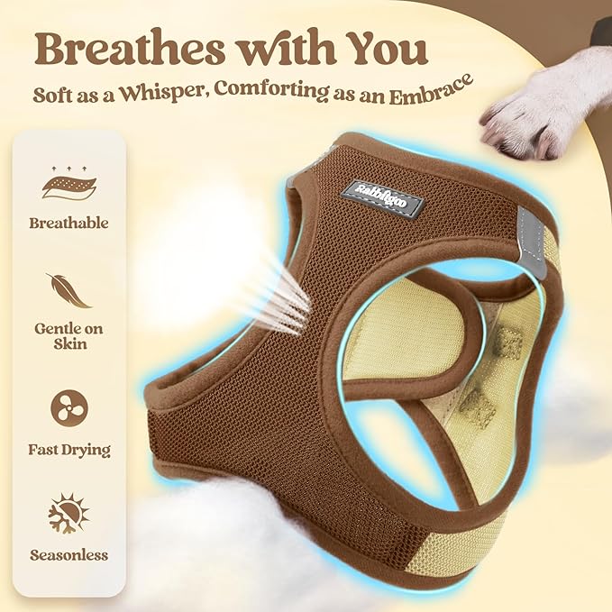 rabbitgoo Dog Harness Small Sized and Leash Set, Step in Soft Light Puppy Vest, Breathable Mesh Pet Harness, Reflective for Safe Easy Walking, Brown & Beige M