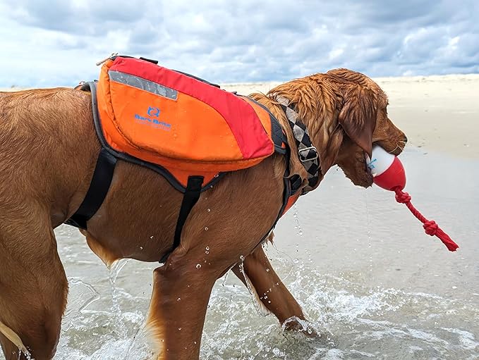 Bark Brite The Chewy Buoy Water Dog Toy