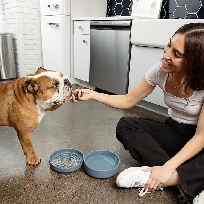 Should We Go? Dog Water Bowl - The Perfect Dish No-Spill Less Mess Non-Tippable Water & Food Bowl, Pure Silicone with Suction Cup Fits 5 Cups 7.5" Across x 2.25" Tall Ideal for All Pets, Medium-Spruce
