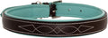 Exion Geniun Leather Dog Collar Designer Stitched Soft Leather Padded- Suitable for Small Medium Large X-Large Dogs for Walking Running- Havana with Sky Blue Padding
