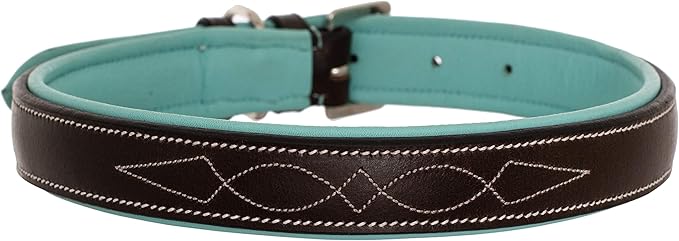 Exion Geniun Leather Dog Collar Designer Stitched Soft Leather Padded- Suitable for Small Medium Large X-Large Dogs for Walking Running- Havana with Sky Blue Padding