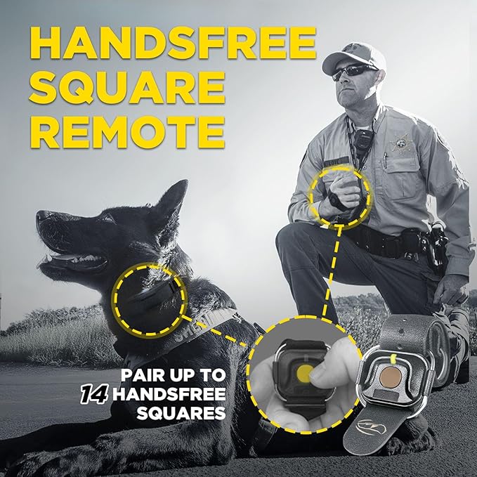 Dogtra 1900X Black Edition E-Collar - 1 Mile Range, Dogs 45 lbs+, IPX9K Waterproof, 100 Stimulation Levels, Vibration, Tone, Rechargeable - Ideal for Dog Owners and Professional Trainers