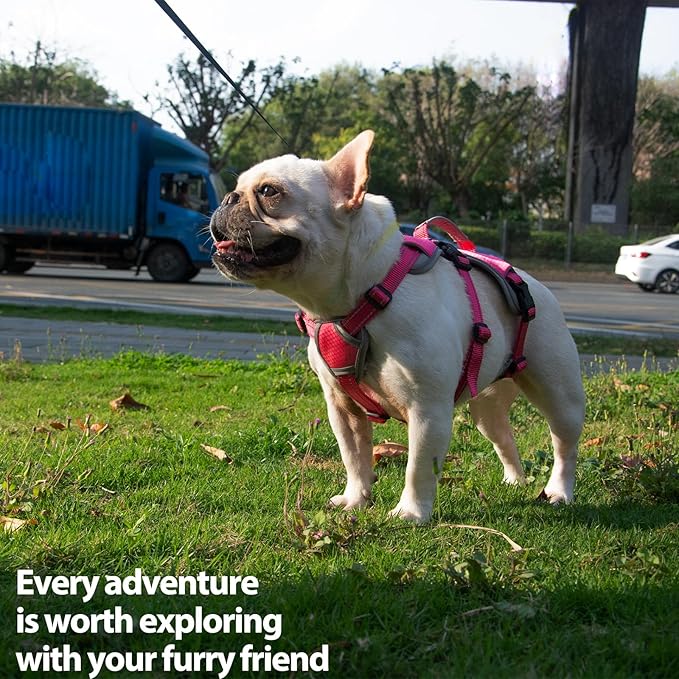 Huntboo Escape Proof Dog Harness, Escape Artist Harness, Reflective Dog Harness with Handle, Durable,Adjustable Vest for Small Medium Large Dogs Walking, Training, and Running Gear(Rose Red, S)