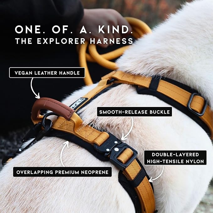 MADE TO ROAM Premium Explorer Harness - Y-Shaped Dog Harness with Adjustable Durable Nylon, Soft Padding, Metal Buckles and Leather Handle for Small, Medium, Large Dogs (Colorado Nightsky, Size 3)