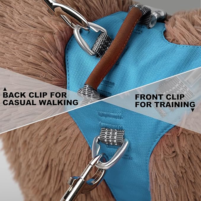 No Pull Dog Harness – Adjustable Reflective Nylon Vest for Small Medium Large Dogs, Escape Proof Training Harness with Leather Control Handle, Lightweight Aluminum Hardware (Cyan, XL)