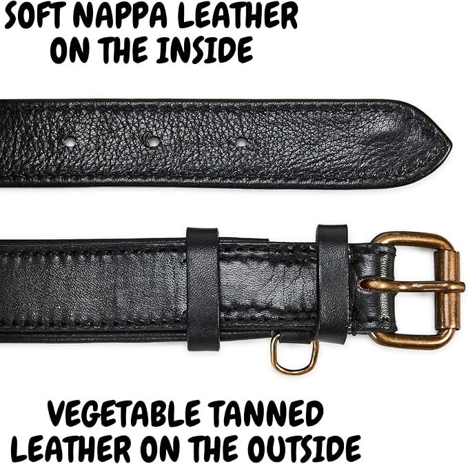 Real Leather Dog Collar Padded Soft Interiors with Premium Vintage Look Handcrafted Heavy Duty with Tag Ring for Small Medium and Large Pets (Medium (1.25" Wide for 13.5" - 17.5" Neck), Black)