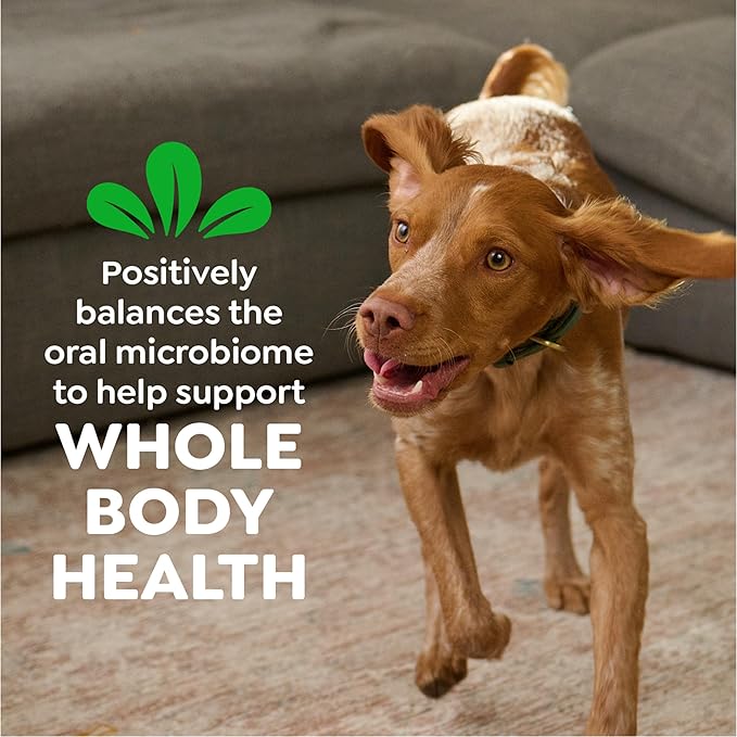 Greenies Veterinarian-Recommended Adult Natural Dental Dog Treats Regular Size, Dog Dental Chews, Original Flavor, 27 oz. Pack, 27 Count