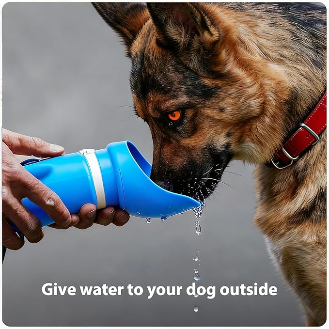Portable Dog Water Bottle, 2-in-1 Leak Proof & Collapsible Silicone Pet Dispenser with Built-in Bowl, Food Grade Travel Cup for Walking, Hiking (19oz/550ml, Blue)