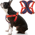 Gooby Comfort X Step in Harness V2 - X-Large, Navy(Red) - No Pull Small Dog Harness with Patented Adjusting Choke-Free X Frame - Perfect on The Go Dog Harness for Medium Dogs No Pull and Small Dogs