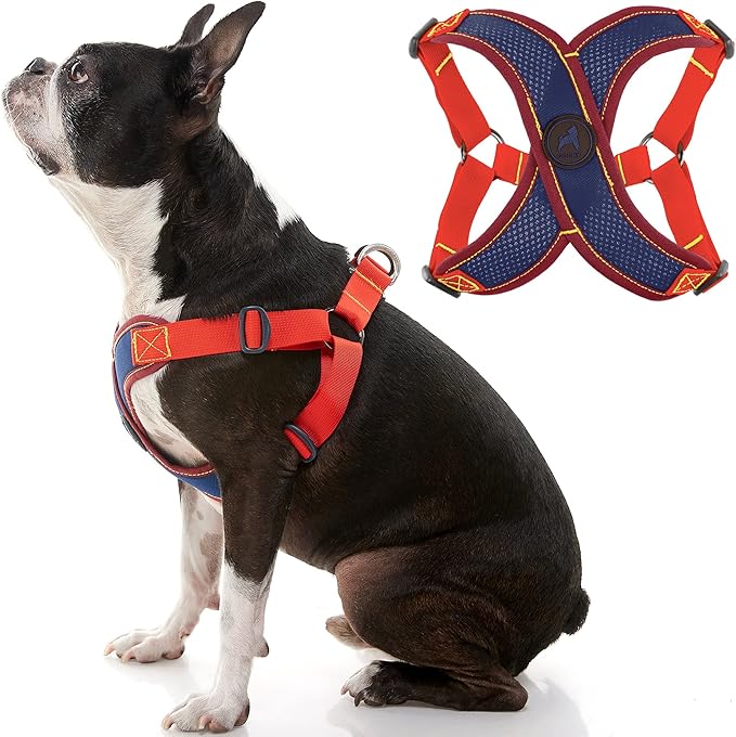 Gooby Comfort X Step in Harness V2 - X-Large, Navy(Red) - No Pull Small Dog Harness with Patented Adjusting Choke-Free X Frame - Perfect on The Go Dog Harness for Medium Dogs No Pull and Small Dogs