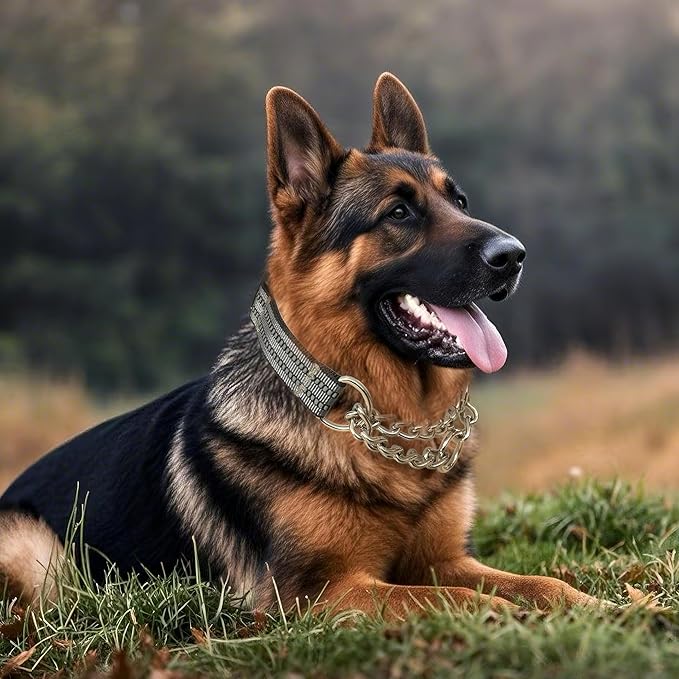 Martingale Dog Collars, Reflective Nylon Collar with Stainless Steel Chain, Adjustable Walking Training Dog Collars with Quick Release Buckle, Suitable for Small Medium Large Dogs(Gray,S)