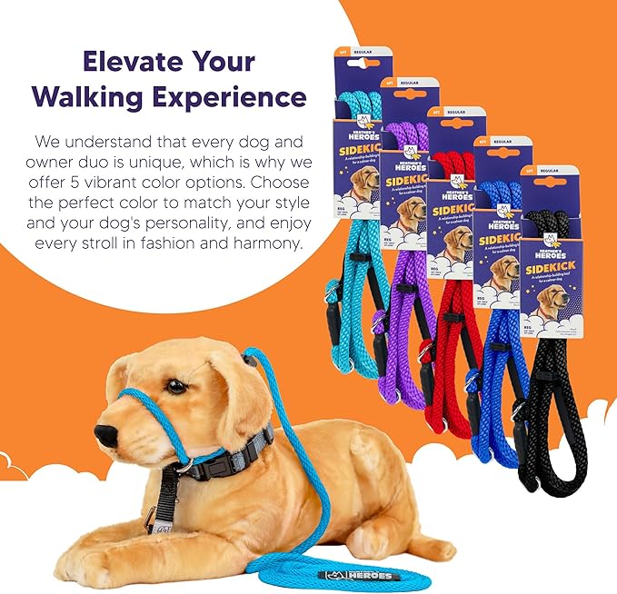 Heather's Heroes Sidekick Dog Headcollar with Leash - Sidekick Leash for Dogs, Effective Dog Training Tool for Leash Reactivity and Behavior Issues (Turquoise, Mini (1/4"))