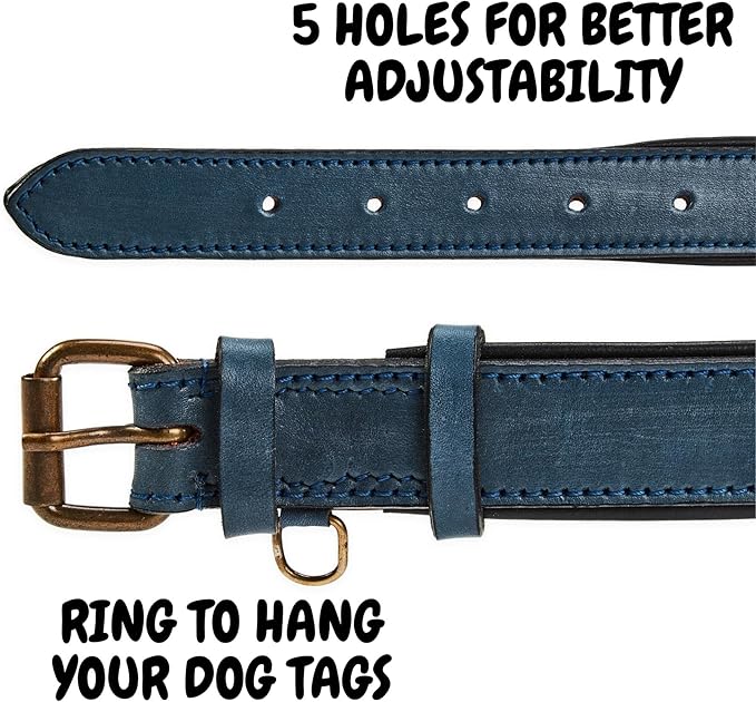 Real Leather Dog Collar Padded Soft Interiors with Premium Vintage Look Handcrafted Heavy Duty with Tag Ring for Small Medium and Large Pets (Medium (1.25" Wide for 13.5" - 17.5" Neck), Ocean Blue)