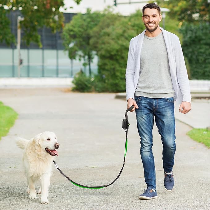 No Pull Dog Leash for Large Dogs – 6ft Highly Reflective Bungee, Heavy Duty Leash for Large Dogs, 4 Padded Handles, Strong Carabiner Clip & Rings, Includes Poop Bag Holder & Treat Pouch (Royal Blue)
