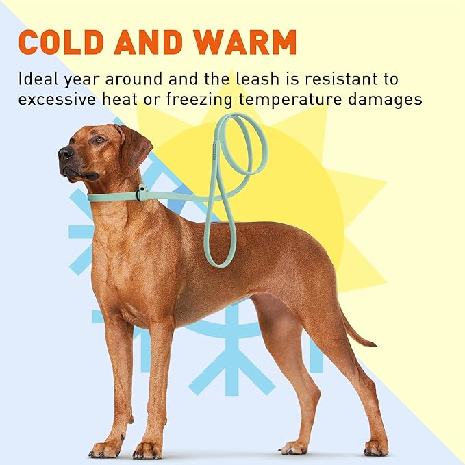 Dogline Biothane Slip Dog Leash - for Small, Medium and Large Dogs - Odor Free Slip Lead, Heavy Duty and Durable Material Kennel Lead - Sage Green - 7ft L x 5/8in W