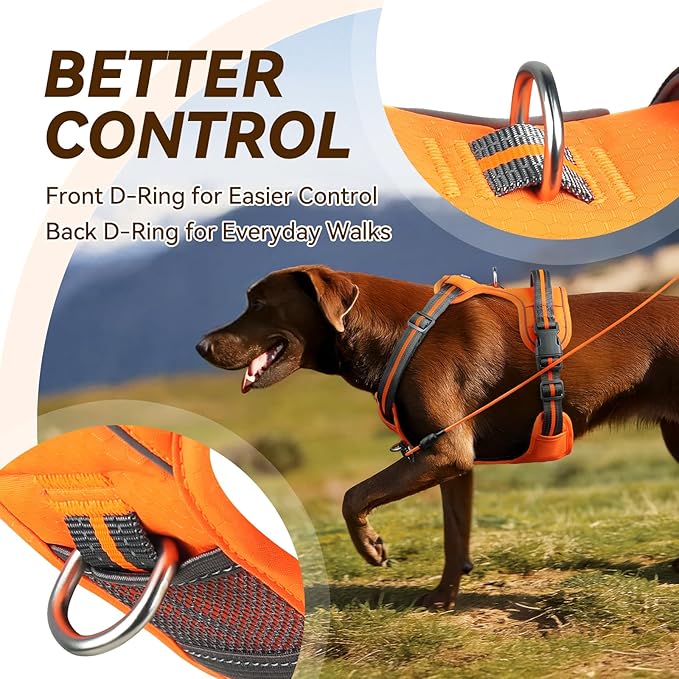 VIVAGLORY Dog Harness Easewalk No Pull Dog Harness with Handle Front Clip & Back Clip for Training Walking Lifting, No Pull Adjustable Easy On Padded Comfortable for Pet, S, Orange - Patterned