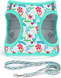 Moonpet Step in Dog Harness Leash Set- All Weather Reflective No-Pull Floral Pattern Padded Mesh Vest Harness for Cats Puppy Extra-Small Small Medium Large Dogs - Verdure Flower - XL