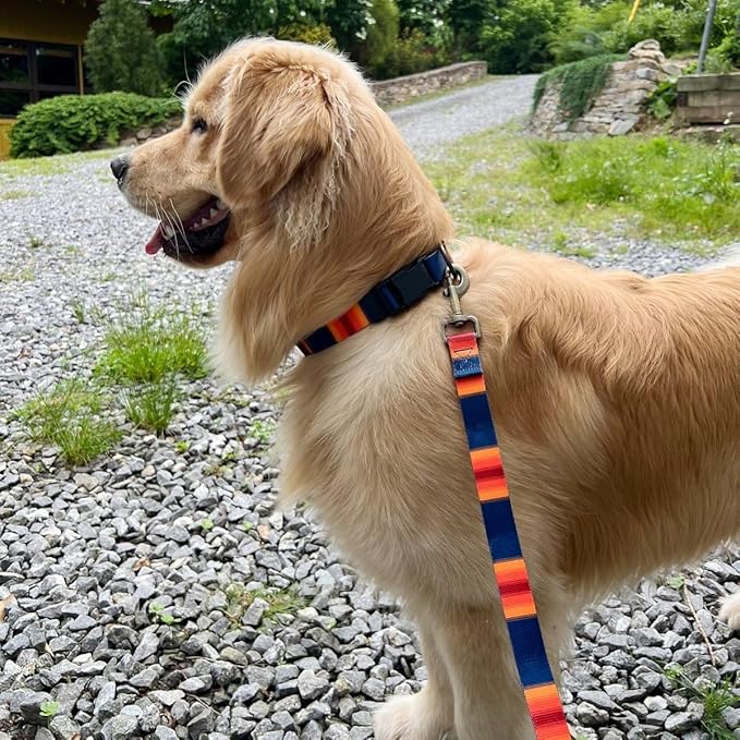 Pendleton Yellowstone National Park Adventure Leash 1" w