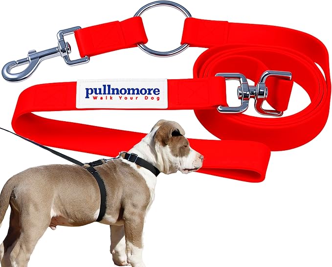 No-Pull Dog Leash, Chew Resistant, Waterproof, Durable PVC Material, Multiple Sizes and Colors (Red, Small)