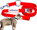 No-Pull Dog Leash, Chew Resistant, Waterproof, Durable PVC Material, Multiple Sizes and Colors (Red, Small)