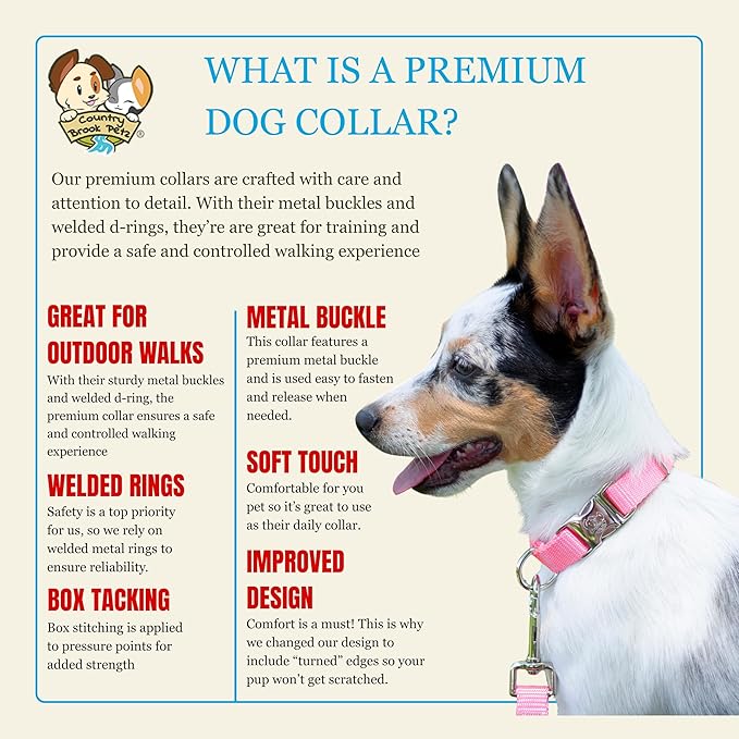 Country Brook Petz - Premium Nylon Dog Collar with Metal Buckle for Small Medium Large Breeds - 10+ Warm Colors (Small, 3/4 Inch, Pink)