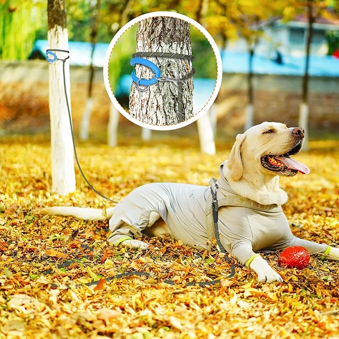 NTR Heavy Duty Dog Leash, 15 FT Training Leash, with 2 Swivel Hooks, Reflective Threads and Comfortable Padded Handle, Dog Lead for Walking, Hunting, Camping, Backyard for Small Medium and Large Dogs