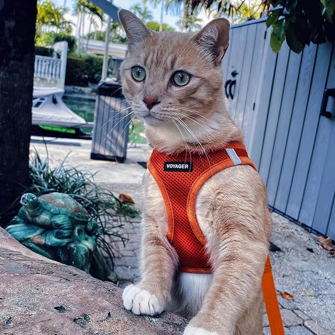 Voyager Step-in Pet Harness - All Weather Mesh, Adjustable Step in Harness for Cats and Dogs by Best Pet Supplies - 307S Orange, S