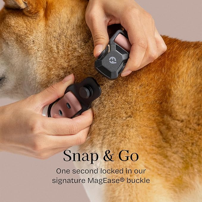 2026 New Edition, Fei & Eve PVC MagEase Dog Collar - Patented Magnetic Buckles | Fur-Safe | 450LB Escape-Proof | Adjustable Fit | Small (Blush)