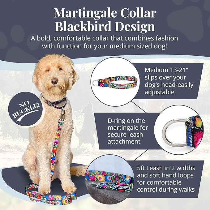 Lucky Love Dog Martingale Dog Collar & Leash - Adjustable, No-Slip, Durable, Comfortable, Soft Webbing, & Stylish Patterned Collar & Leash Set for Male and Female Dogs - Blackbird Combo, Medium