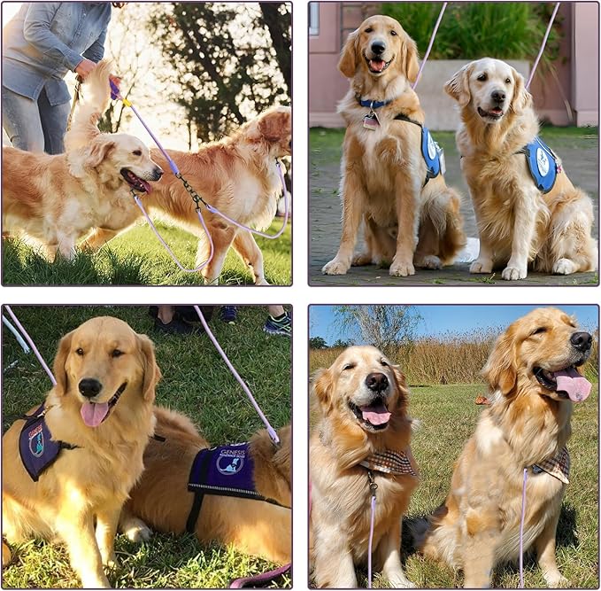 Double Dog Leash No Tangle, Adjustable Split Leads Dual Pet Walking Leash with Comfortable Padded Handle for Two Dogs, Hands - Free Dual Leashes for Small/Medium Pets (Purple, Double Leashes)