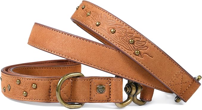 Blueberry Pet Premium Embossed Microfiber Leather Dog Leash with Decorative Studs in Saddle Brown