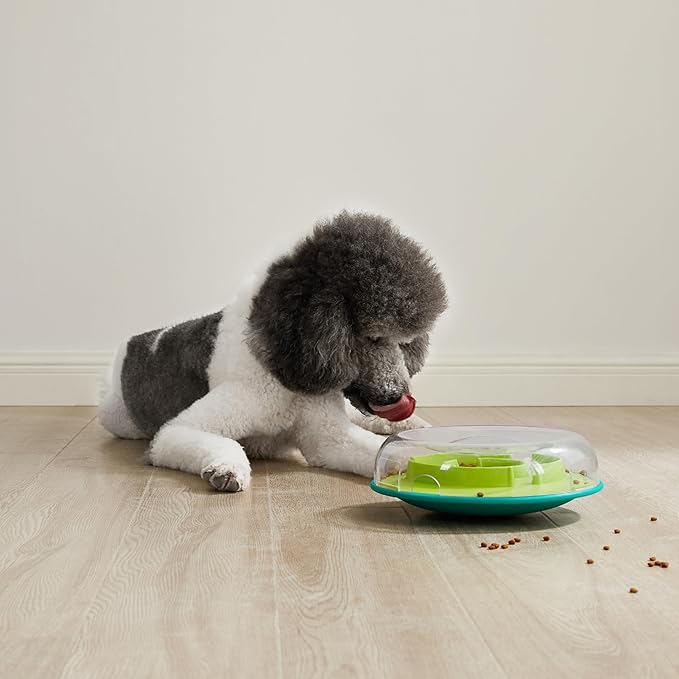 Outward Hound by Nina Ottosson Wobble Bowl Slow Feeder Dog Puzzle, Level 1 Beginner, 11.6 inches x 3.5 inches, Multicolored