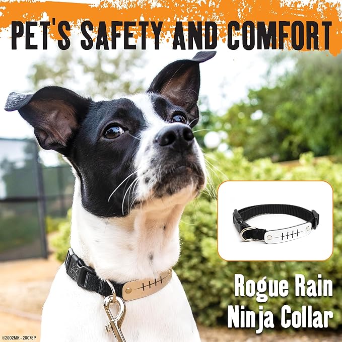 Naruto Dog Collar for Large Dogs, Medium, Small, XS Puppy Collars: Officially Licensed Naruto Shippuden Anime Dog Collar Pet Accessories, Naruto Gifts for Boy or Girl Dog (Black, Rogue Rain, Small)