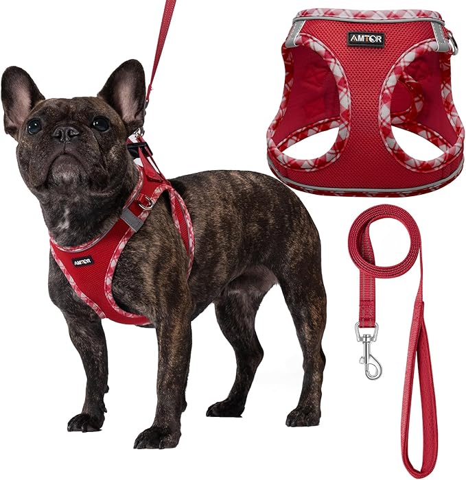 AMTOR Small Dog Harness with Leash Set, No Escape Easy Walk Puppy Harnesses for Training Walking, Step-in Reflective Soft Dogs Vest for XS S Medium Extra-Small Large Sized Dog(S Size,Red/White)