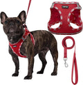 AMTOR Small Dog Harness with Leash Set, No Escape Easy Walk Puppy Harnesses for Training Walking, Step-in Reflective Soft Dogs Vest for XS S Medium Extra-Small Large Sized Dog(M Size,Red/White)
