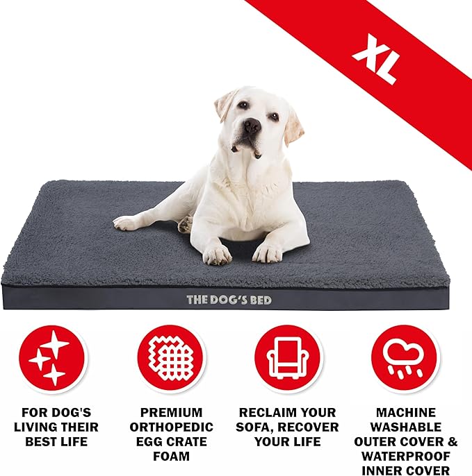The Dog’s Bed Orthopedic Standard Foam Dog Bed Mattress, Plush Fabric, Grey, XL