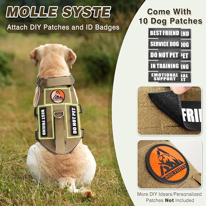 Service Dog Vest and Leash Set,Heavy Duty Tactical Dog Harness with Metal Buckles for Large Dogs,Adjustable No-Pull Dog Harness with 10 Patches,for Training Working,Brown XL