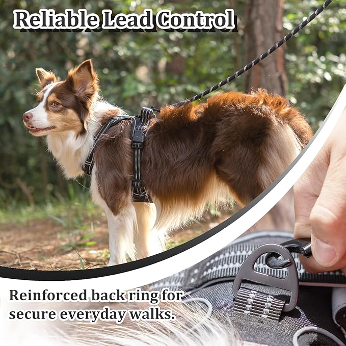 Vest Harness for Dogs - Reflective Adjustable Padding with Easy-On Design & Leash Attachment (M, Black)