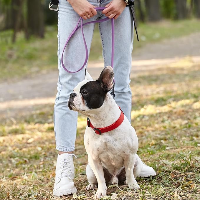 Dogline Biothane Waterproof Dog Leash Strong Coated Nylon Webbing with Black Hardware Odor-Proof Easy to Clean High Performance for Small or Large Dogs Made in USA 2 ft Lead, Amethyst Purple