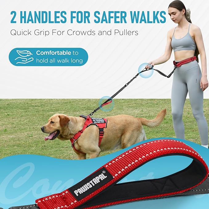 Hands Free Dog Leash, Waist Bungee Leash for Large Dogs, 6-8ft Adjustable Heavy Duty Leashs(50-120 lbs)
