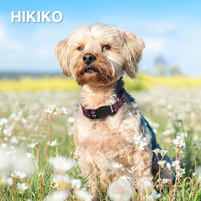 Hikiko Martingale Dog Collars Reflective Nylon Dog Collar with Quick Release Buckle Adjustable Training No Slip Dog Collar (Large, Burgundy)