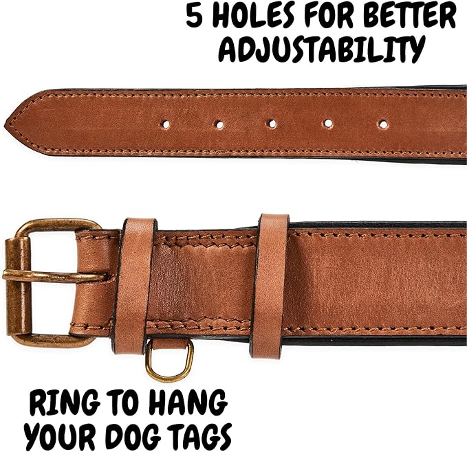 Real Leather Dog Collar Padded Soft Interiors with Premium Vintage Look Handcrafted Heavy Duty with Tag Ring for Small Medium and Large Pets (Large (1.5" Wide for 16.5" - 20.5" Neck), Cognac)