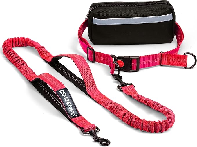 Hands Free Dog Leash with Waist Belt – No-Pull Bungee, Dual Padded Handles & Zipper Pouch for Running, Walking & Training – Adjustable Waist Leash for Large & Medium Dogs
